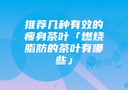 推荐几种有效的瘦身茶叶「燃烧脂肪的茶叶有哪些」