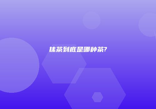 抹茶到底是哪种茶?