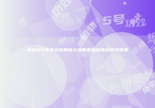 雨林红5号茶功效揭秘与热带雨林植物多样性探索