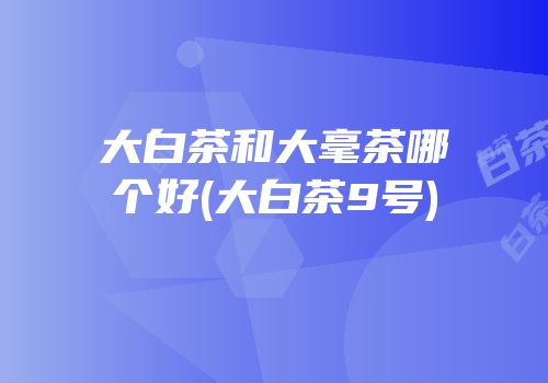 大白茶和大毫茶哪个好(大白茶9号)