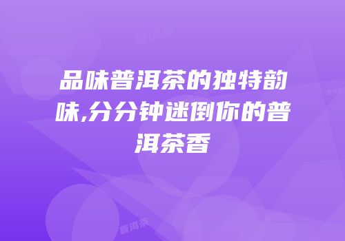 品味普洱茶的独特韵味,分分钟迷倒你的普洱茶香