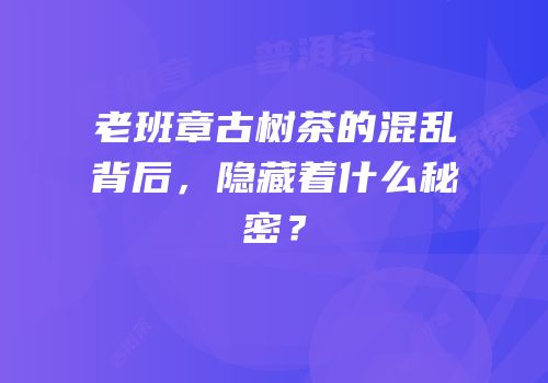 老班章古树茶的混乱背后，隐藏着什么秘密？