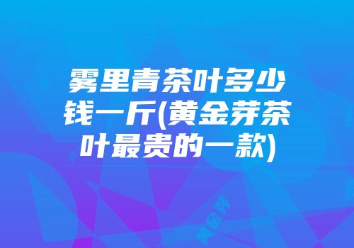 雾里青茶叶多少钱一斤(黄金芽茶叶最贵的一款)