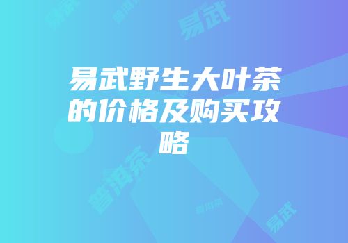 易武野生大叶茶的价格及购买攻略