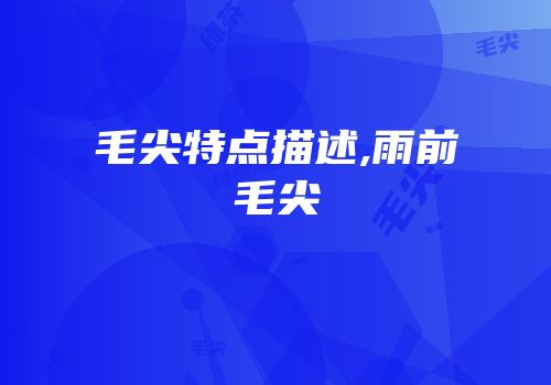 毛尖特点描述,雨前毛尖