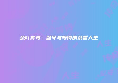 茶叶传奇：坚守与等待的茶香人生
