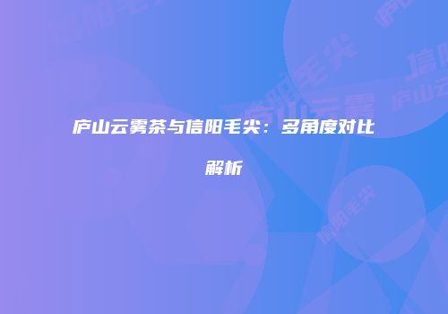 庐山云雾茶与信阳毛尖：多角度对比解析