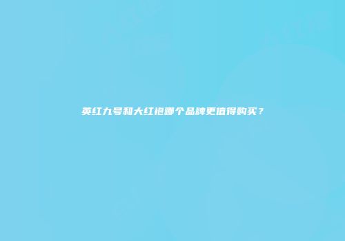 英红九号和大红袍哪个品牌更值得购买？