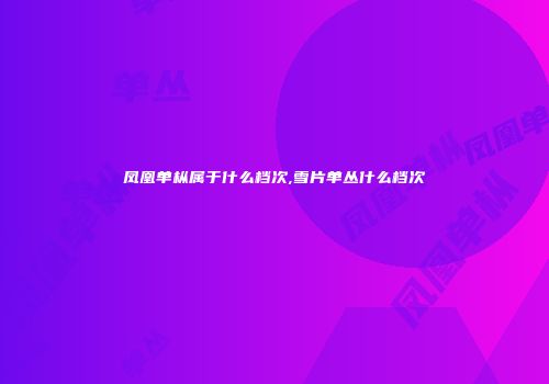 凤凰单枞属于什么档次,雪片单丛什么档次