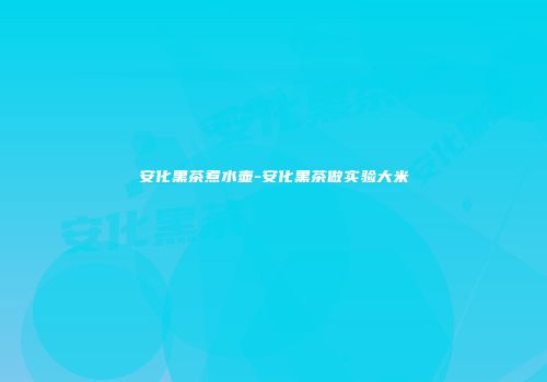 安化黑茶煮水壶-安化黑茶做实验大米