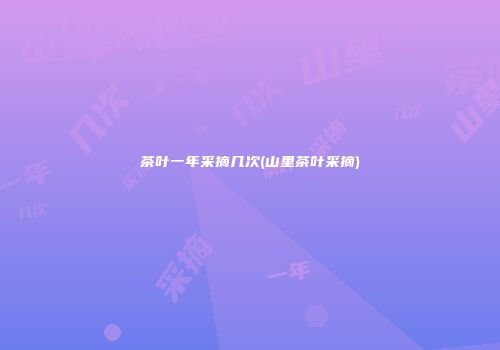 茶叶一年采摘几次(山里茶叶采摘)