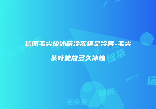 信阳毛尖放冰箱冷冻还是冷藏-毛尖茶叶能放多久冰箱