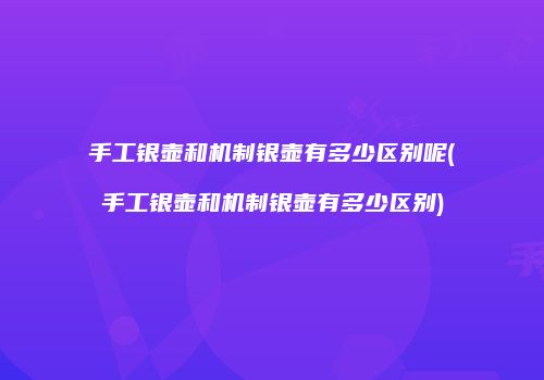 手工银壶和机制银壶有多少区别呢(手工银壶和机制银壶有多少区别)