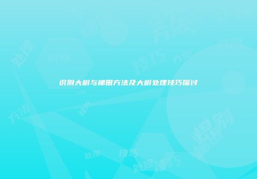 识别大树与梯田方法及大树处理技巧探讨