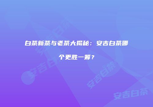 白茶新茶与老茶大揭秘：安吉白茶哪个更胜一筹？