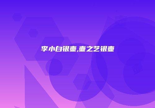 李小白银壶,壶之艺银壶