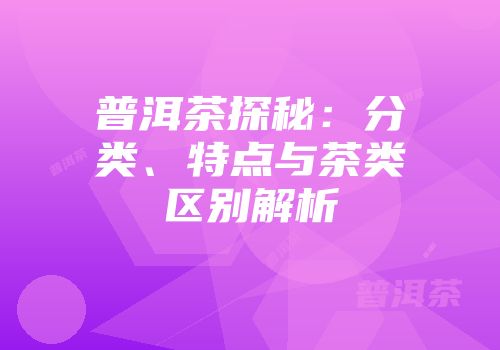 普洱茶探秘：分类、特点与茶类区别解析