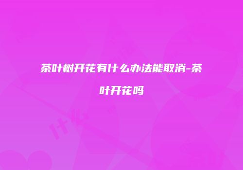 茶叶树开花有什么办法能取消-茶叶开花吗