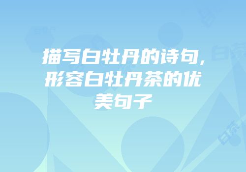 描写白牡丹的诗句,形容白牡丹茶的优美句子