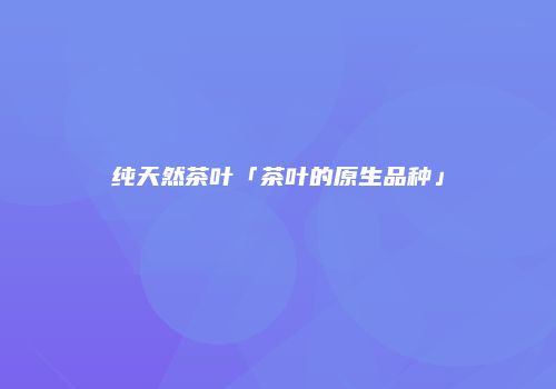 纯天然茶叶「茶叶的原生品种」