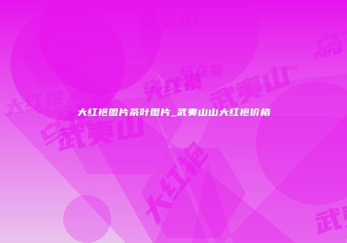 大红袍图片茶叶图片_武夷山山大红袍价格