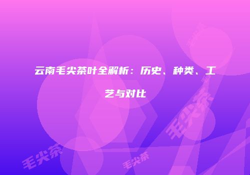 云南毛尖茶叶全解析：历史、种类、工艺与对比