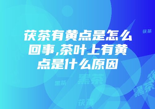 茯茶有黄点是怎么回事,茶叶上有黄点是什么原因
