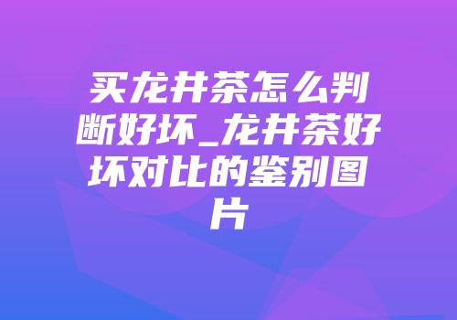 买龙井茶怎么判断好坏_龙井茶好坏对比的鉴别图片