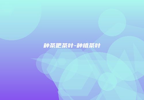 种茶吧茶叶-种植茶叶