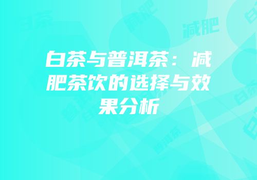 白茶与普洱茶：减肥茶饮的选择与效果分析