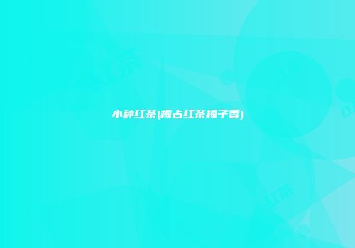 小种红茶(梅占红茶梅子香)