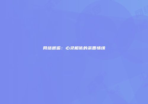 网络邂逅：心灵相依的茶香情缘