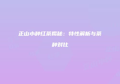 正山小种红茶揭秘：特性解析与茶种对比
