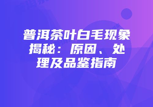 普洱茶叶白毛现象揭秘：原因、处理及品鉴指南