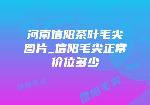 河南信阳茶叶毛尖图片_信阳毛尖正常价位多少