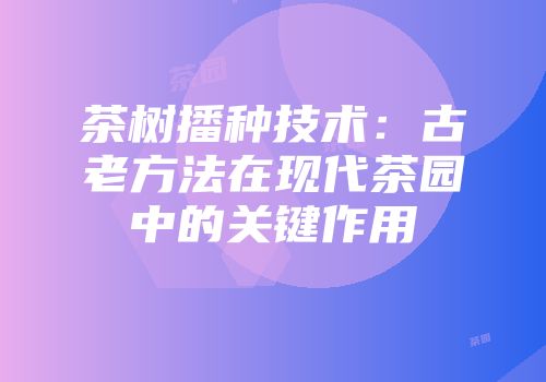 茶树播种技术：古老方法在现代茶园中的关键作用