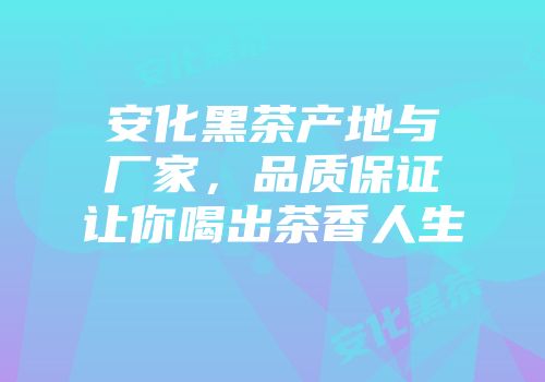 安化黑茶产地与厂家，品质保证让你喝出茶香人生
