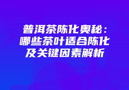 普洱茶陈化奥秘：哪些茶叶适合陈化及关键因素解析