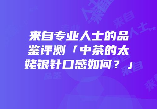 来自专业人士的品鉴评测「中茶的太姥银针口感如何？」
