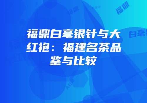 福鼎白毫银针与大红袍：福建名茶品鉴与比较