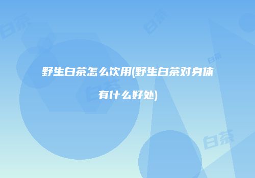 野生白茶怎么饮用(野生白茶对身体有什么好处)