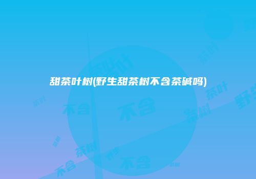 甜茶叶树(野生甜茶树不含茶碱吗)