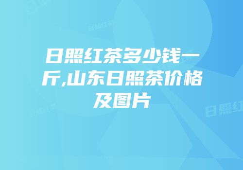 日照红茶多少钱一斤,山东日照茶价格及图片