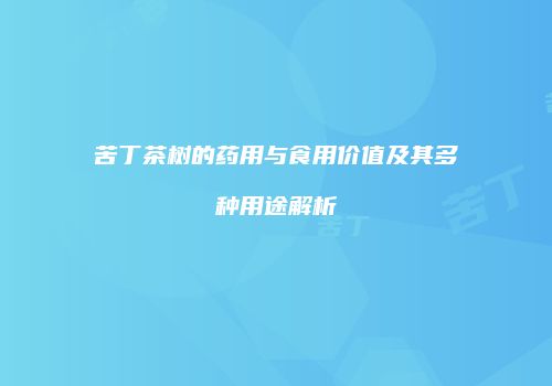 苦丁茶树的药用与食用价值及其多种用途解析