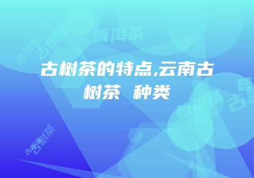 古树茶的特点,云南古树茶 种类