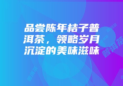 品尝陈年桔子普洱茶，领略岁月沉淀的美味滋味