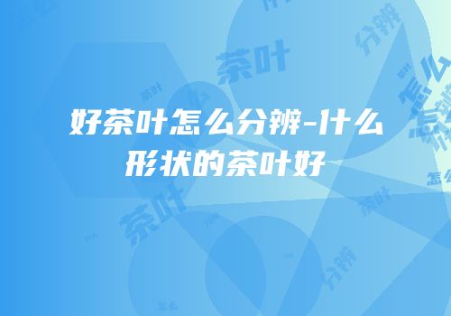 好茶叶怎么分辨-什么形状的茶叶好