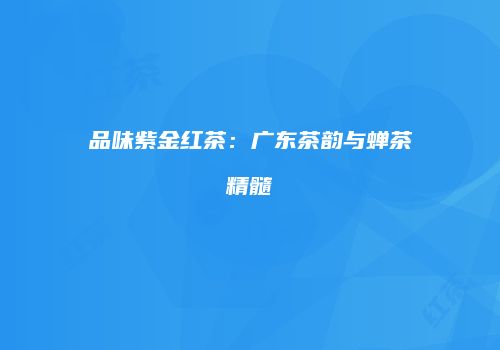 品味紫金红茶：广东茶韵与蝉茶精髓
