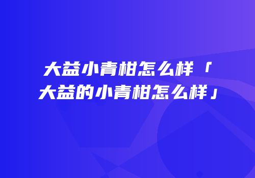 大益小青柑怎么样「大益的小青柑怎么样」