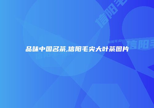 品味中国名茶,信阳毛尖大叶茶图片